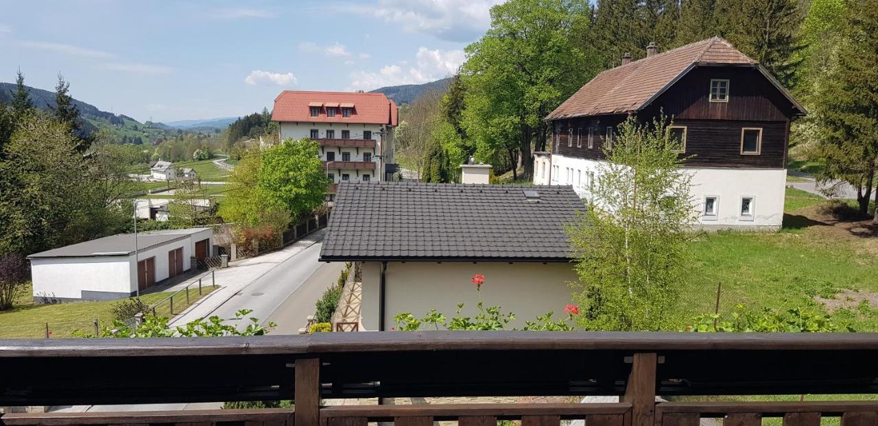 Haus Elena Am Semmering Steinhaus am Semmering Exterior foto